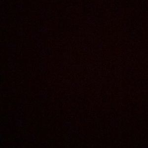 Meet your Posher, Ava